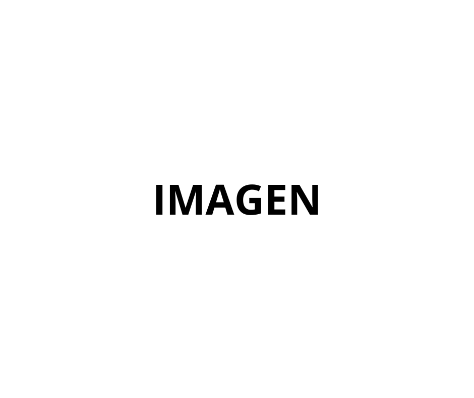 Descripción | MacroMind News