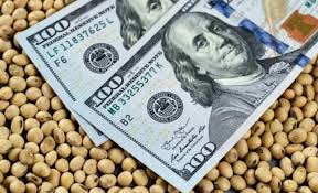 Dólar Blend | MacroMind News
